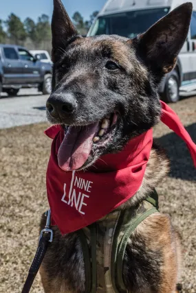 Dropline Dog Bandana