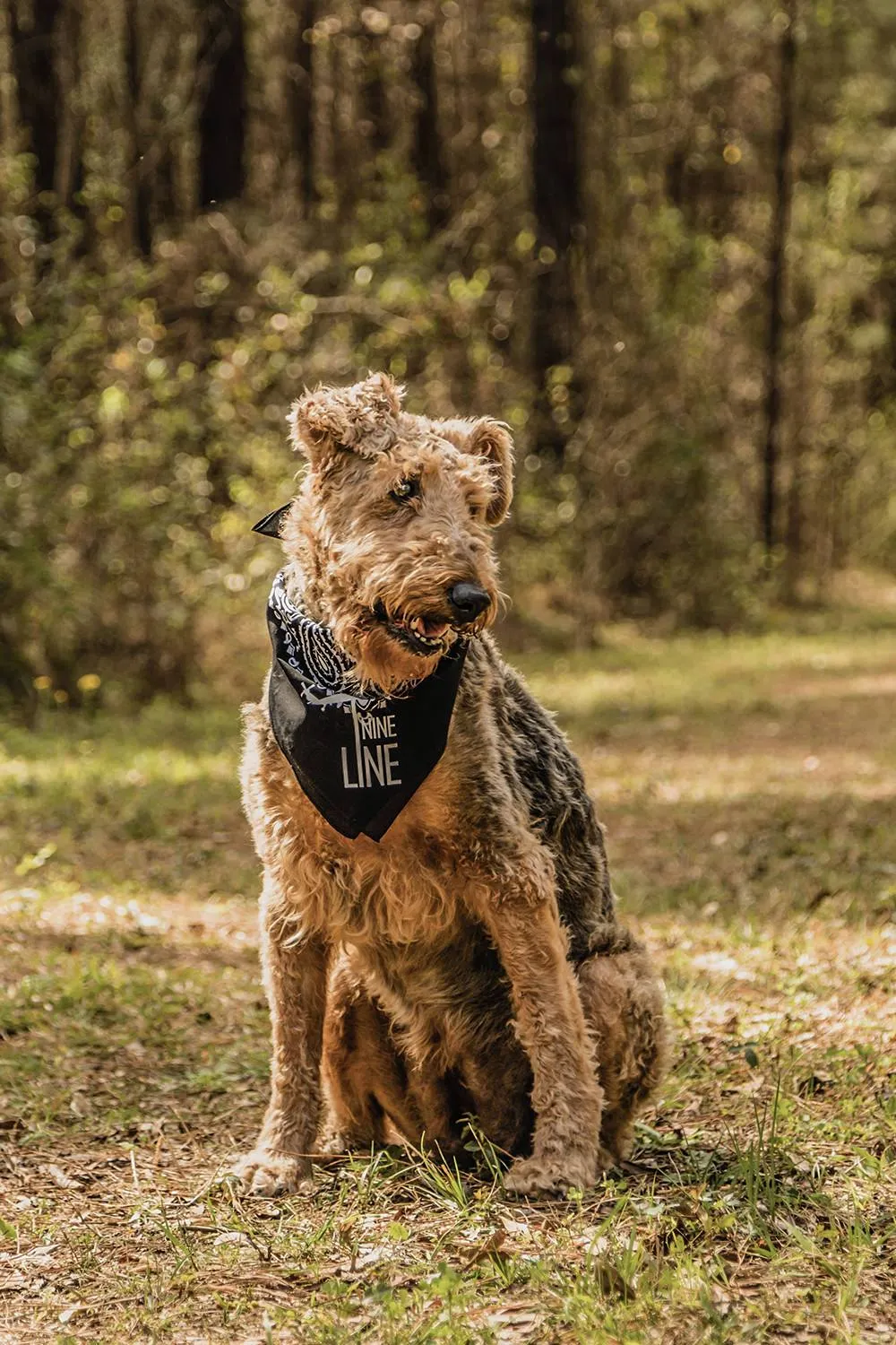 Dropline Dog Bandana