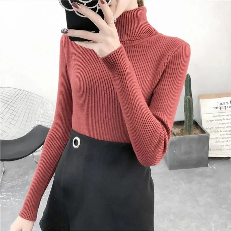 One-Size Ribbed Turtleneck (Salmon)